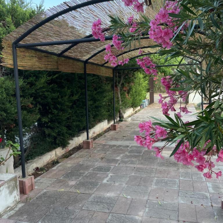 Holiday Home Salento - Casa con 2 Camere da Letto - 4