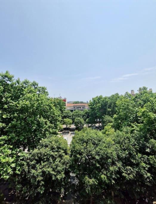 Cagnes sur Mer-Spacieux 2 pièces - Apartment mit 1 Schlafzimmer - 8