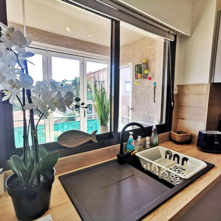 T2 au calme-vue mer et baie de Collioure-Clim-Garage - Apartment mit 1 Schlafzimmer - 13