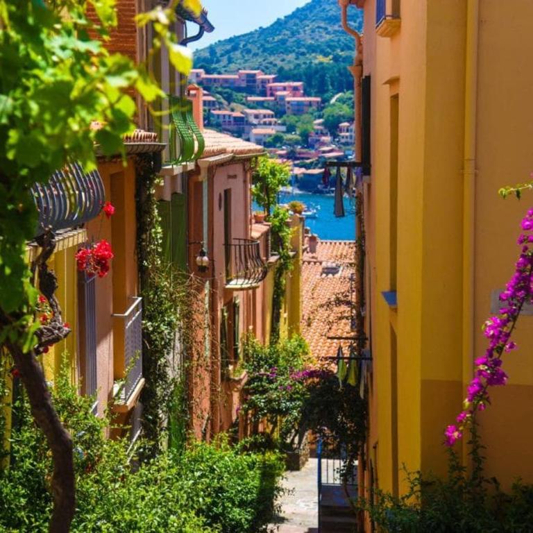T2 au calme-vue mer et baie de Collioure-Clim-Garage - Apartment mit 1 Schlafzimmer - 29