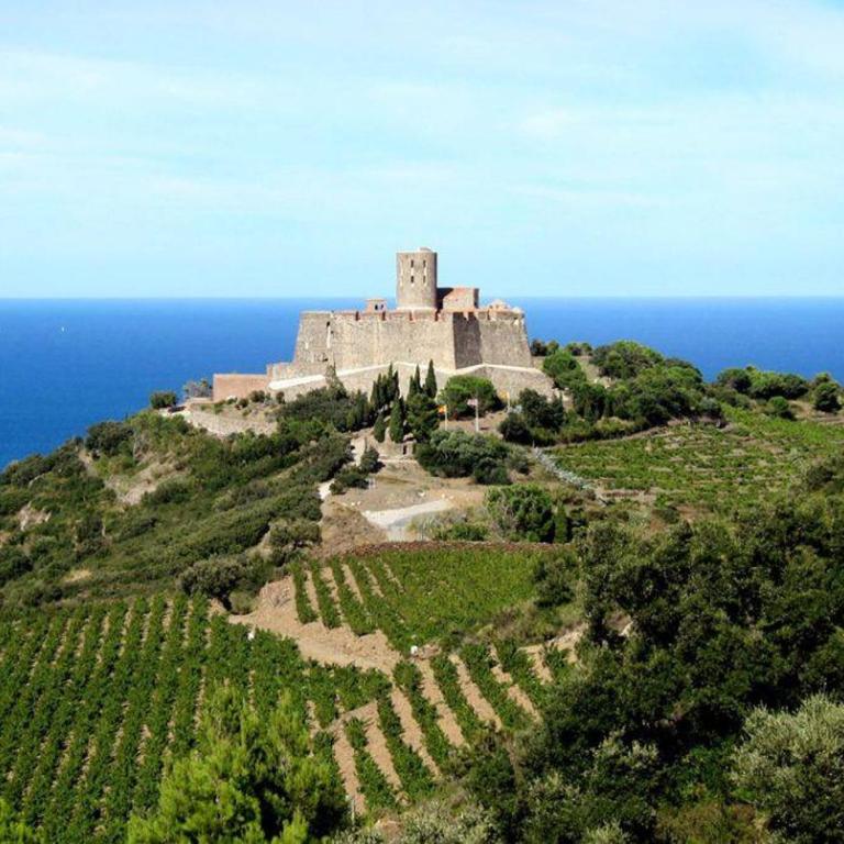 T2 au calme-vue mer et baie de Collioure-Clim-Garage - Apartment mit 1 Schlafzimmer - 35