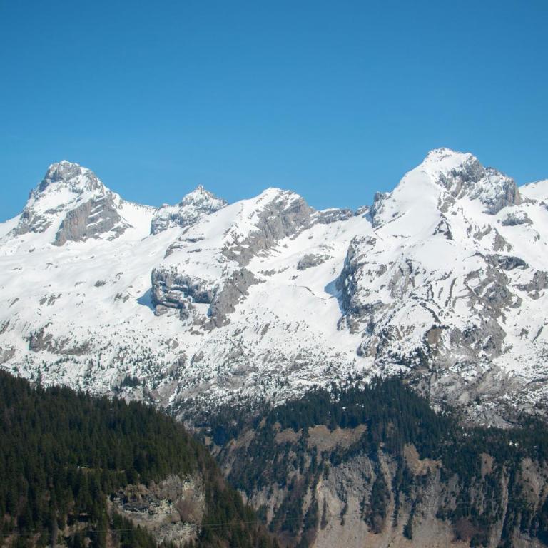Alpage la Grand Montagne 1858 - Superior Chalet - 41