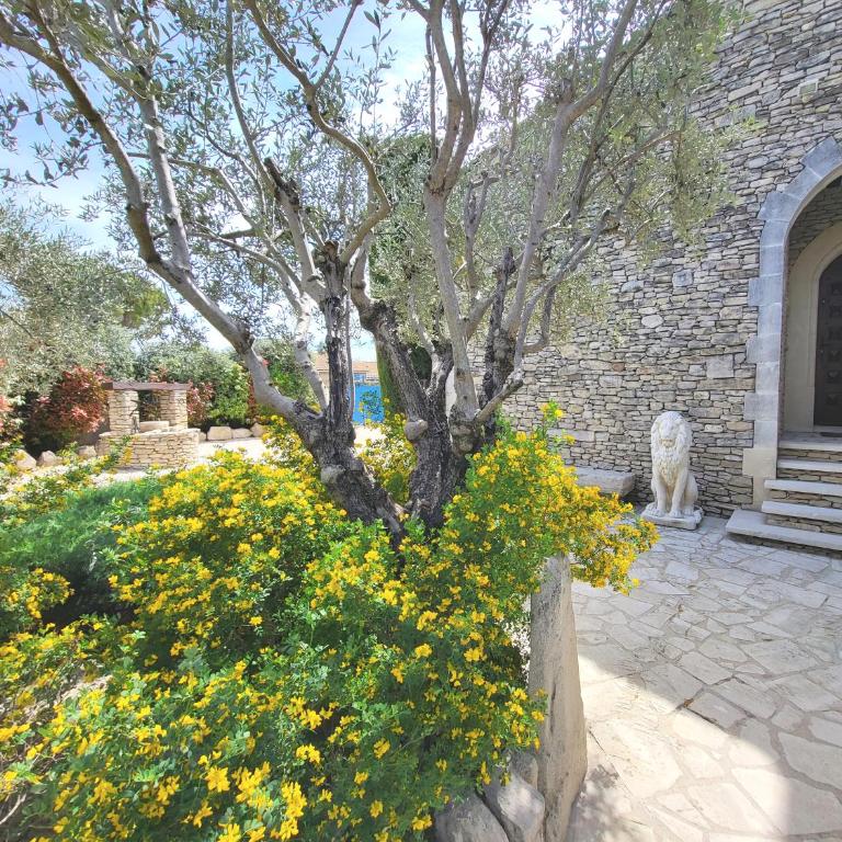 "La Massette du Cheval Blanc" Villa de caractère en pierre - Villa Supérieure - 54