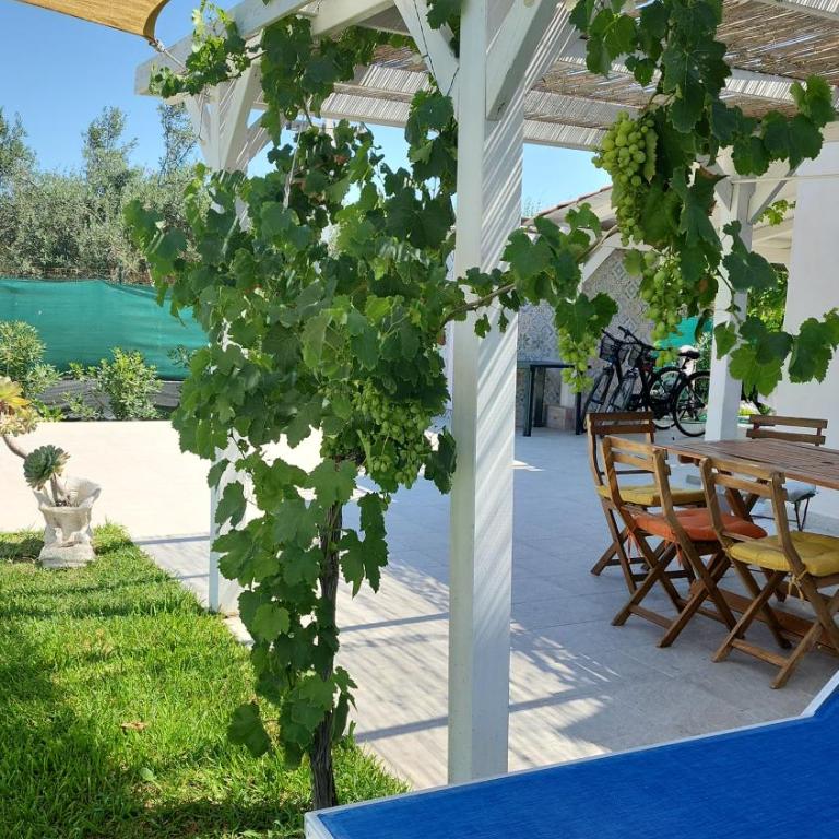 Villa Andrea San Lorenzo - Appartamento con 1 Camera da Letto - 14