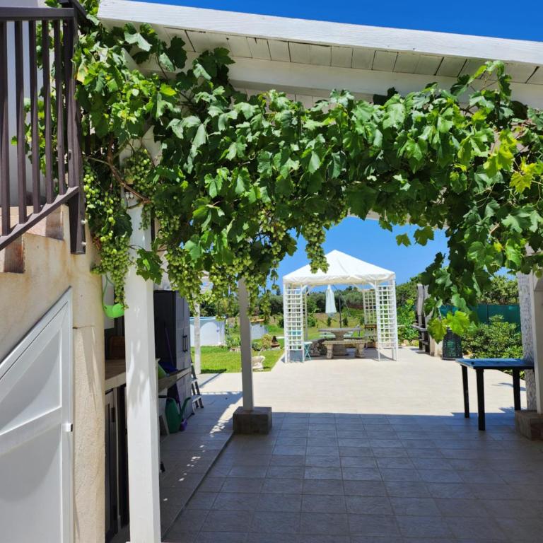 Villa Andrea San Lorenzo - Appartamento con 1 Camera da Letto - 9