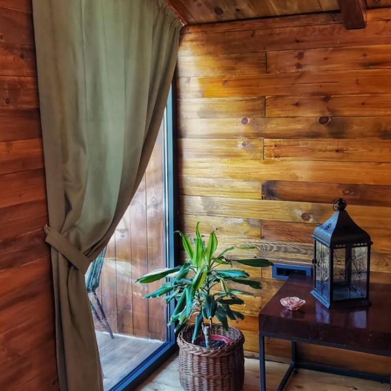 Coratina Cottage - Kuća sa 1 Spavaćom Sobom - 30
