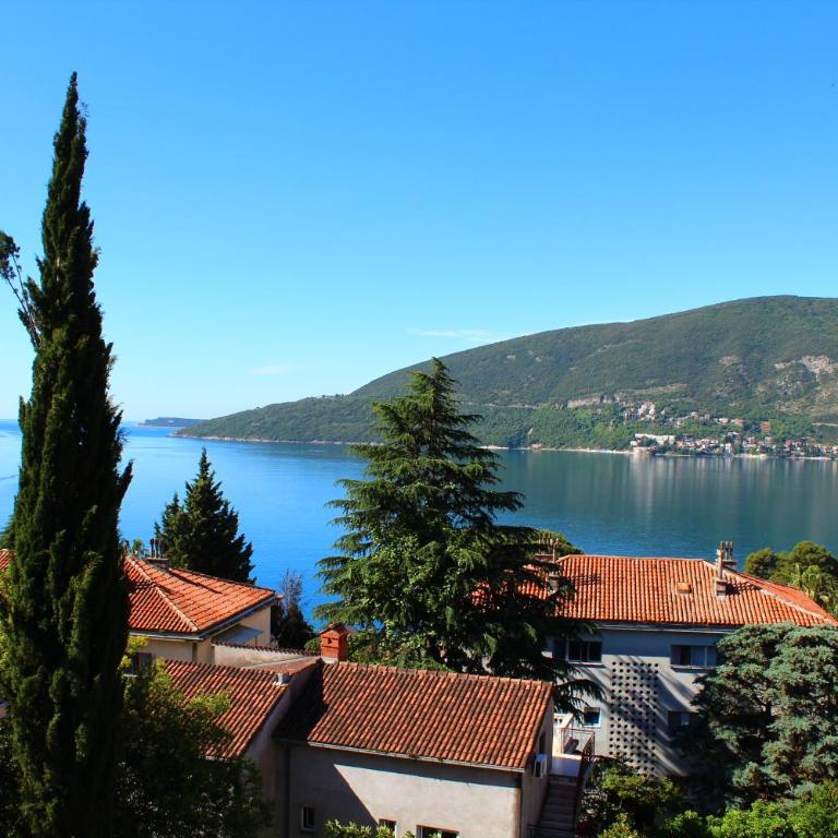 Guest House Tomanovic - Double Room with Shared Bathroom - 22