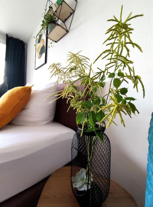 Sauna, Pools mit XXL-Terasse oder Kinderkino - Apartment mit 1 Schlafzimmer - 22