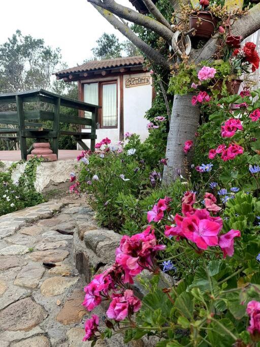 Agradable y Acogedora casa de playa - Casa de 3 dormitorios - 17