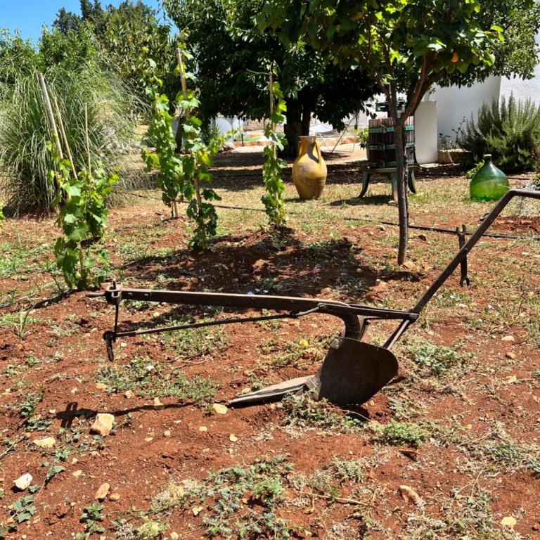 Trullo in vigna - Casa con 3 Camere da Letto - 44