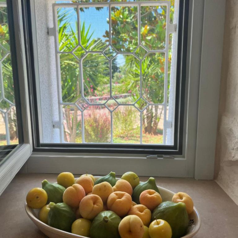 Trullo in vigna - Casa con 3 Camere da Letto - 17