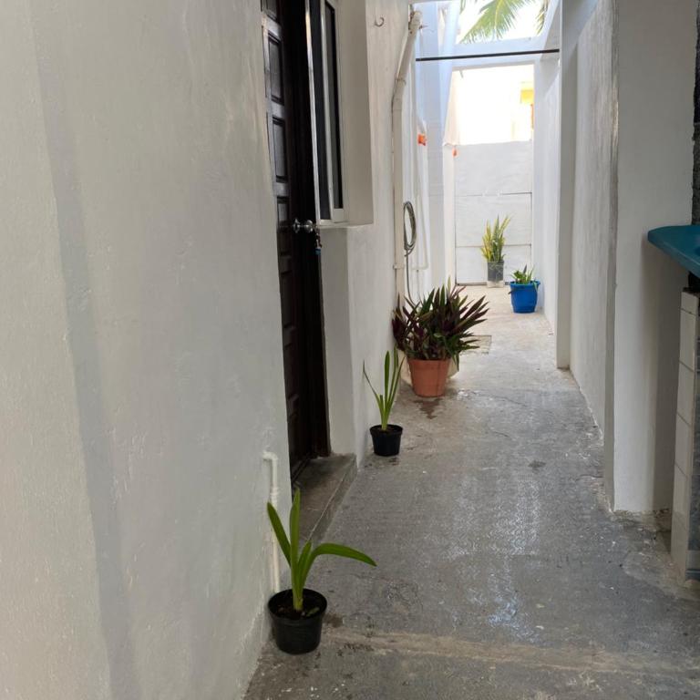 PANCHITO’S - One-Bedroom Apartment - 33