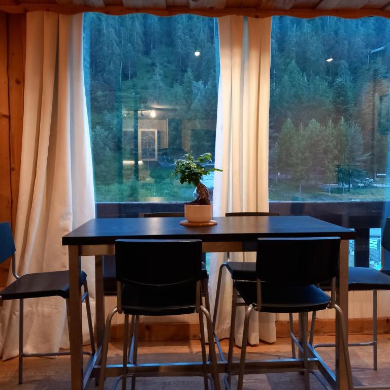 Très agréable 2 pièces au pied des pistes - Apartment mit 1 Schlafzimmer - 18