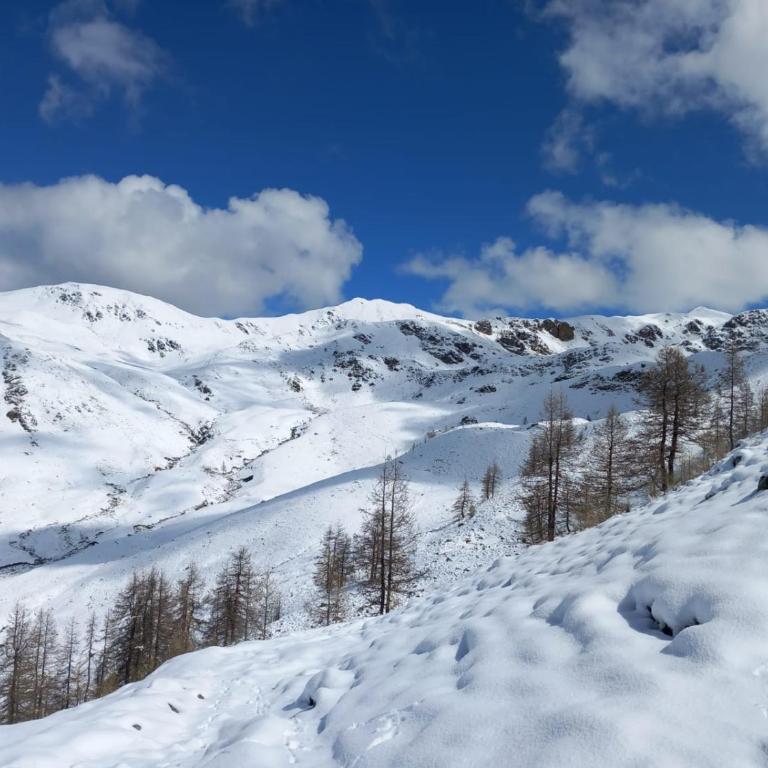 Très agréable 2 pièces au pied des pistes - Apartment mit 1 Schlafzimmer - 24