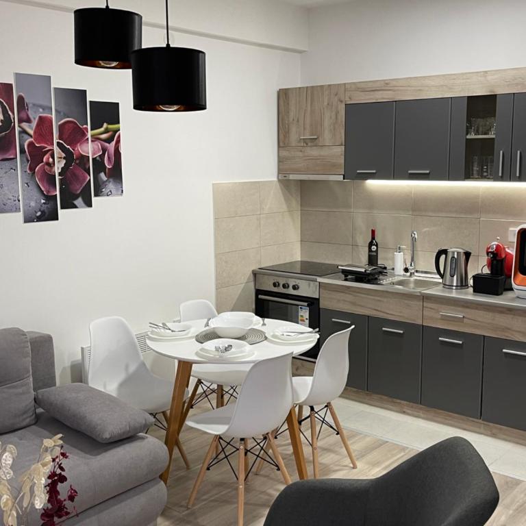 R Lux Apartman Jagodina Akva Park - Apartman sa 1 Spavaćom Sobom - 49