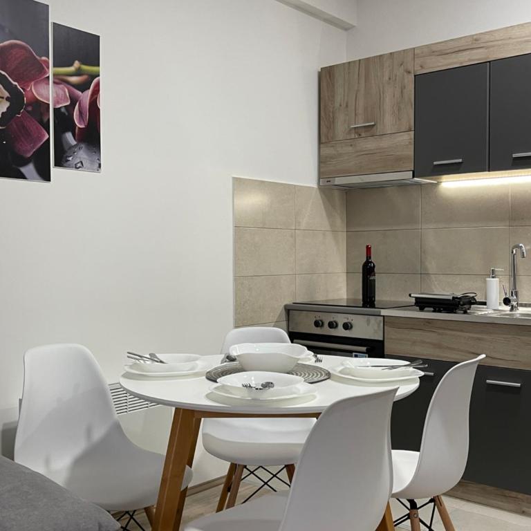 R Lux Apartman Jagodina Akva Park - Apartman sa 1 Spavaćom Sobom - 48