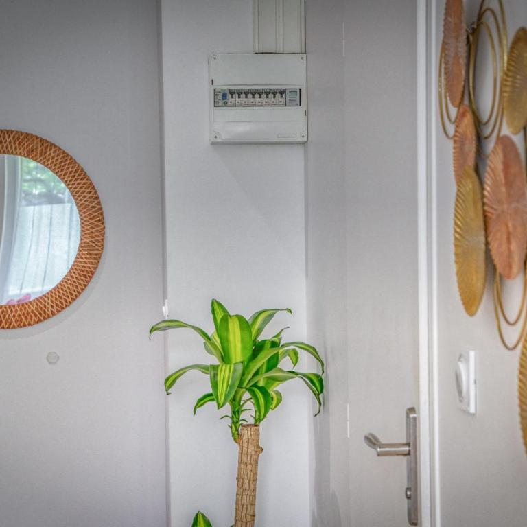 Le Taillefer 4 - L'Oasis - Appartement 1 Chambre - 15