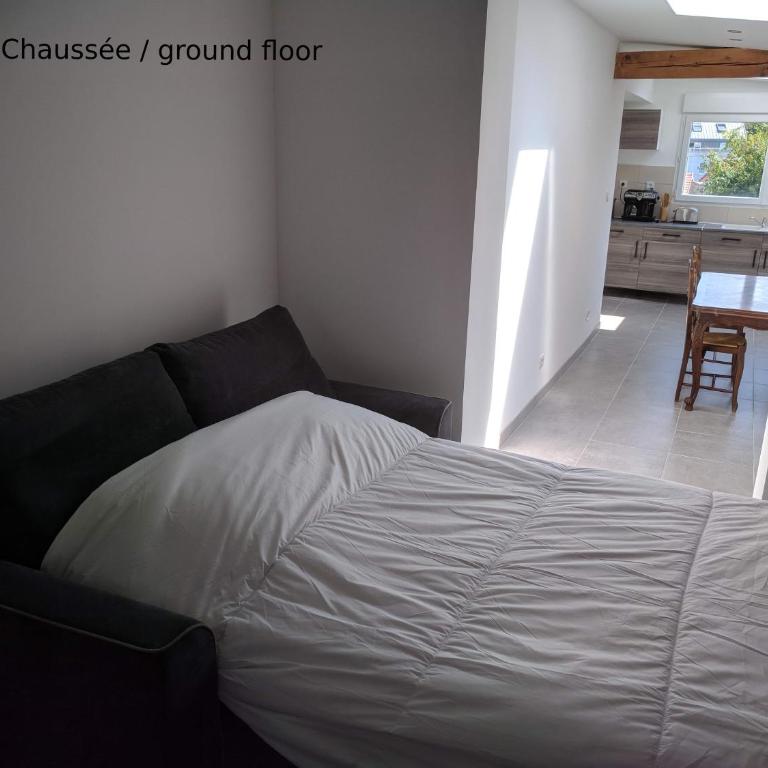 Les Appartements Boulonnais - Appartement - Rez-de-Chaussée - 4
