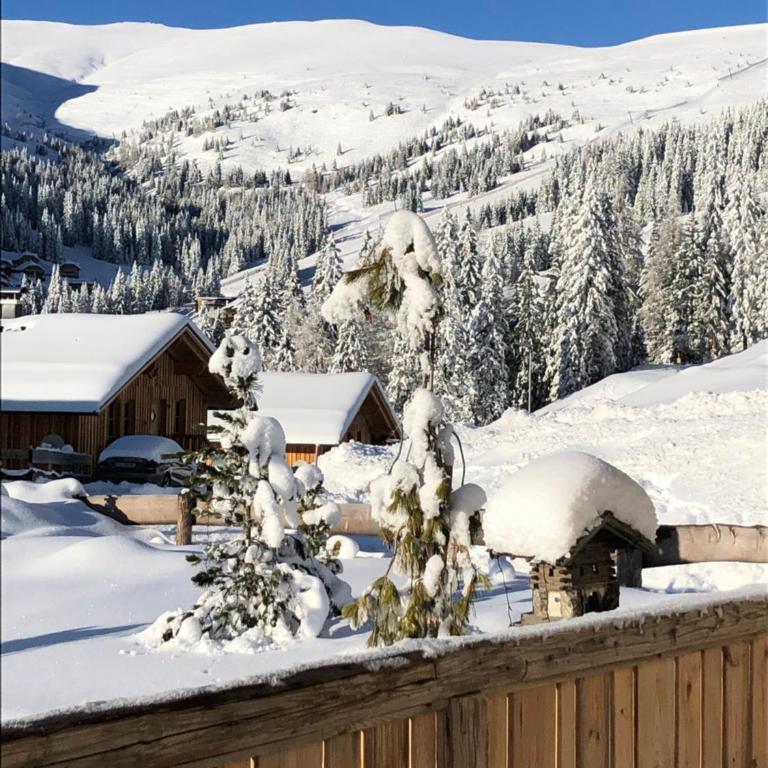 Almhaus Chalet 607 - Lachtal - Haus mit 4 Schlafzimmern - 49
