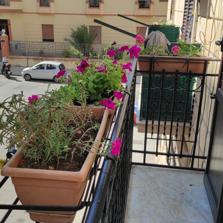 D'Aragona Guest House - King Room with Balcony - 9