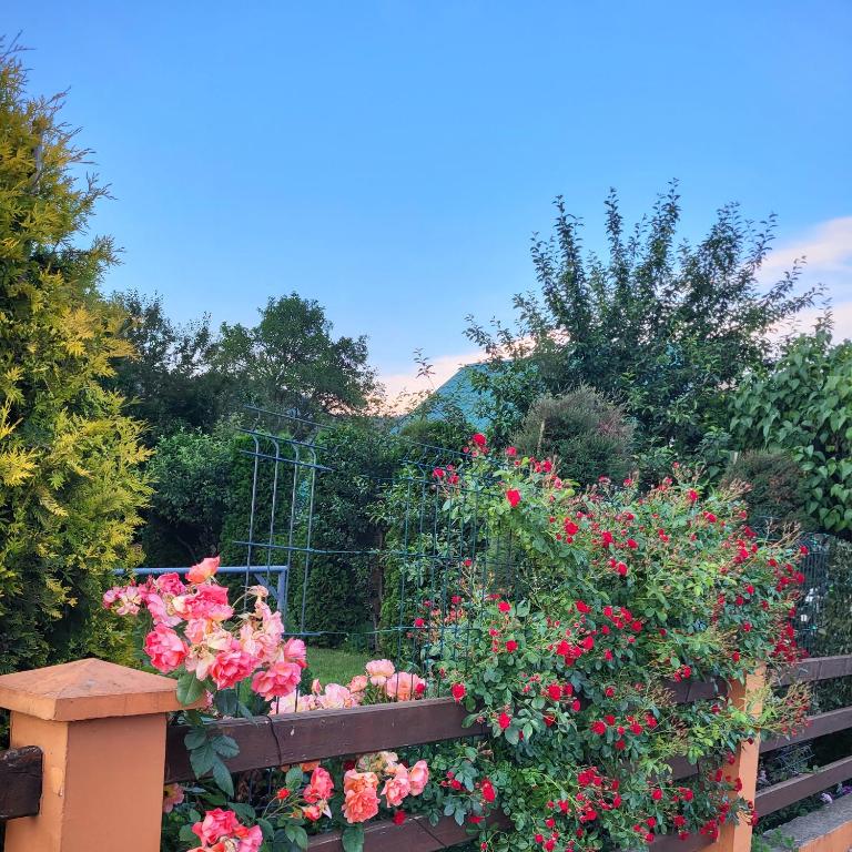 Lodge Breza Lux - Kuća sa 3 Spavaće Sobe - 51