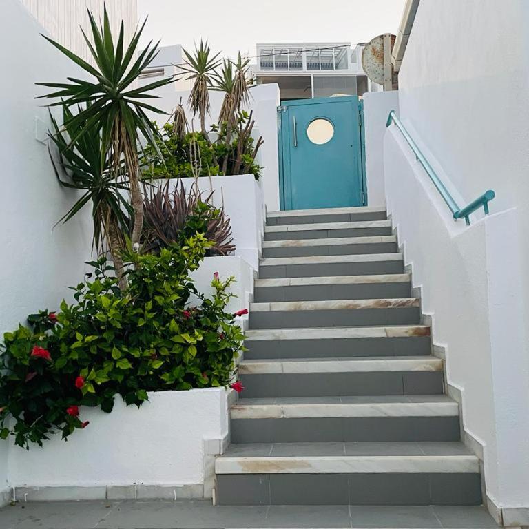 Estudio Garzolini - Apartamento de 2 dormitorios - 38