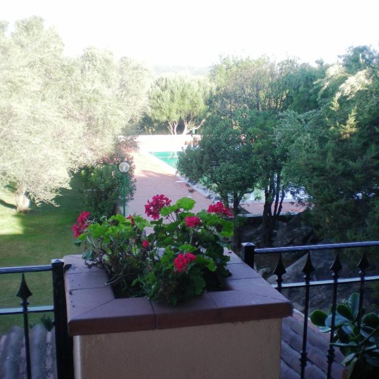 Casa Vacanze Porto Rotondo - Appartamento con 2 Camere da Letto, Terrazza e Vista Mare - 16
