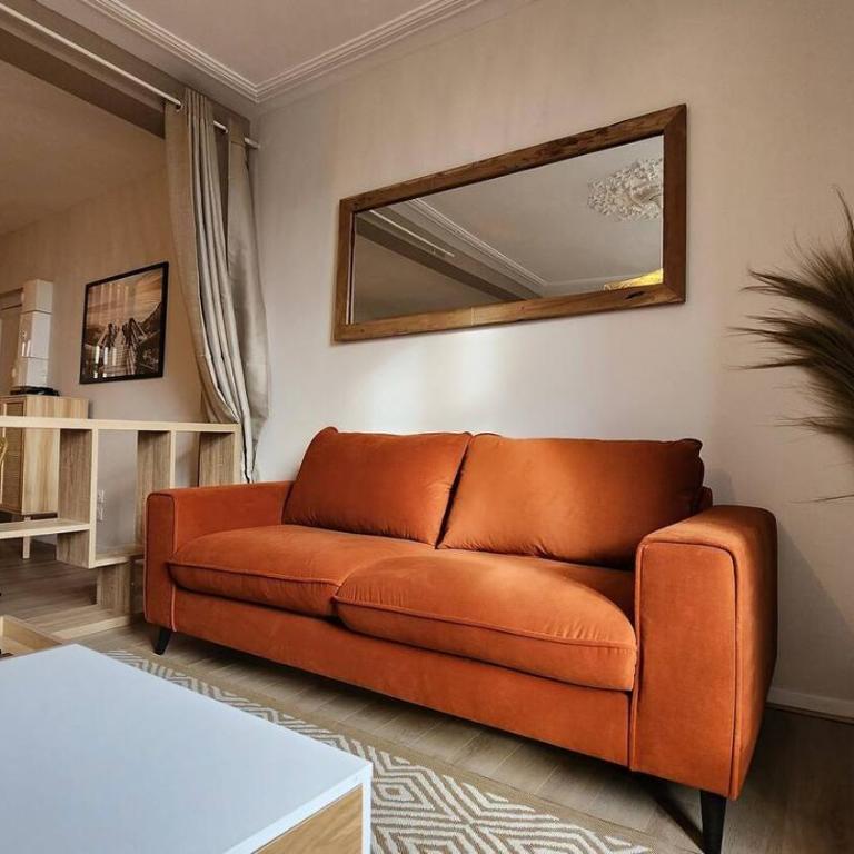 Les Appartements de Louis Spacieux-centre ville-mairie - Studio - 2