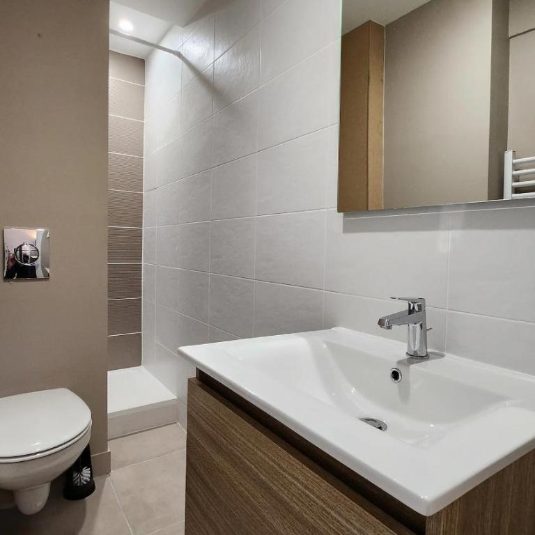 Les Appartements de Louis Spacieux-centre ville-mairie - Appartement 2 Chambres - 3