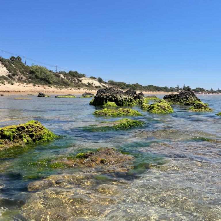 CASA ASIAGO, nel cuore di Pozzallo, pochi passi dalla spiaggia - Casa con 1 Camera da Letto - 33