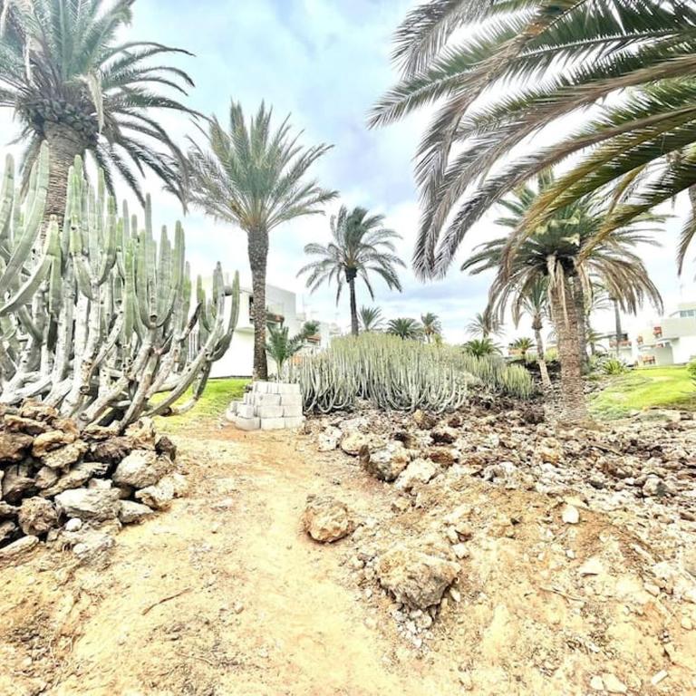 The Holidays Houses - "El refugio del Guanche" 481 - Apartamento de 1 dormitorio - 22