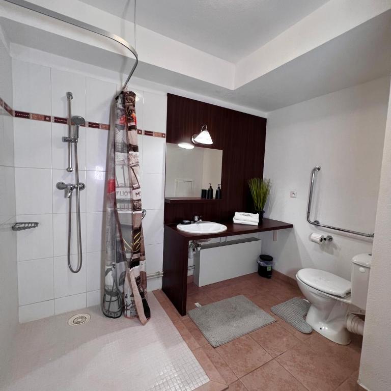 C301 Appartement Proche DisneyLand Paris - Appartement 1 Chambre - 12