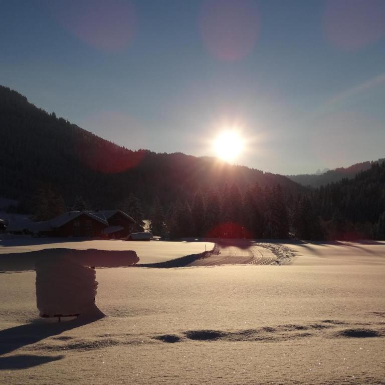 Albingers Landhaus - Appartamento Comfort - 7