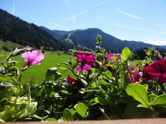 Albingers Landhaus - Appartamento Comfort - 23