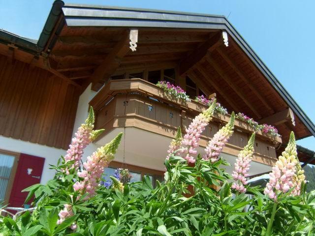 Albingers Landhaus - Alloggio Familiare con 2 Camere da Letto - 15