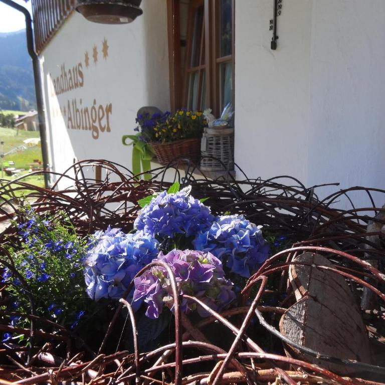 Albingers Landhaus - Alloggio Familiare con 2 Camere da Letto - 20
