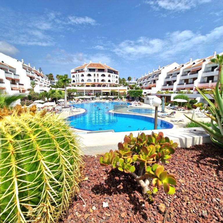 Parque Santiago 1, 348, Tenerife Dream Properties - One-Bedroom Apartment - 2