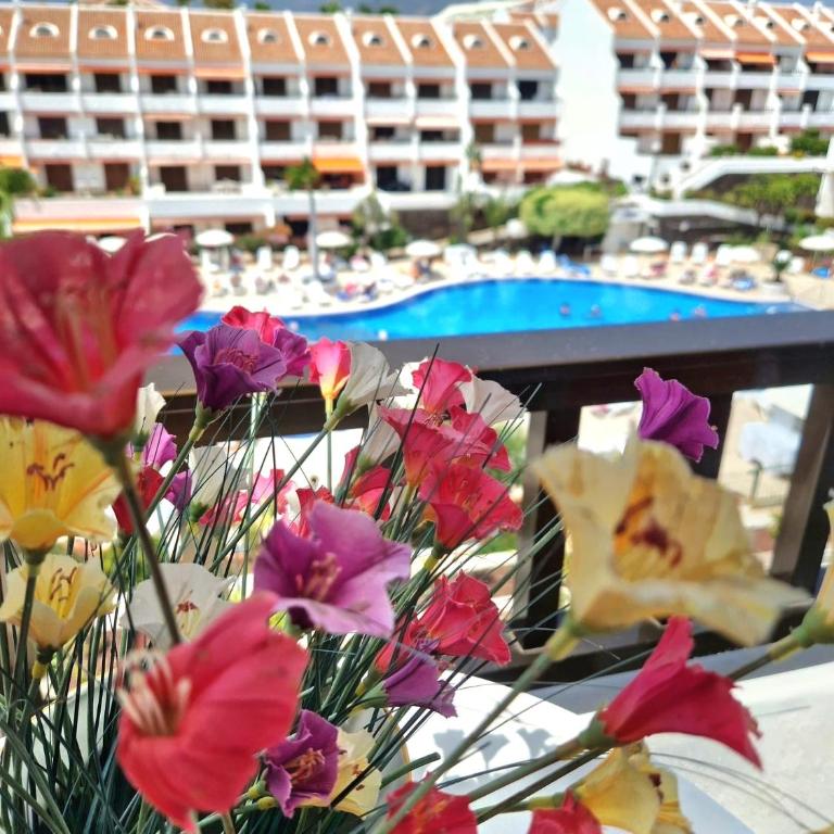 Parque Santiago 1, 348, Tenerife Dream Properties - One-Bedroom Apartment - 7