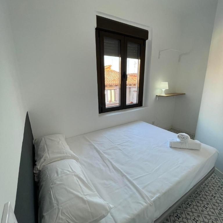 Atocha habitaciones - Double Room with Private External Bathroom - 1