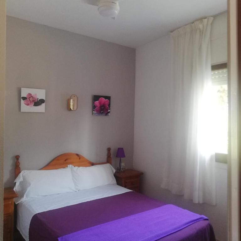 Hostal Los Pinares - Habitación Individual - 1