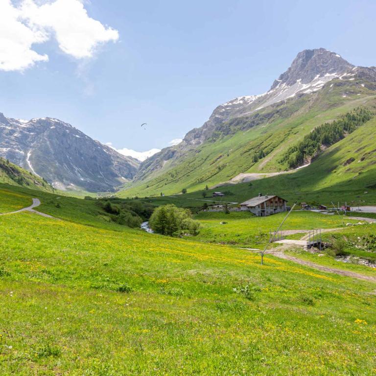 Appartement élégant aux pieds des pistes avec cheminée et WiFi - FR-1-694-213 - Appartement - 20
