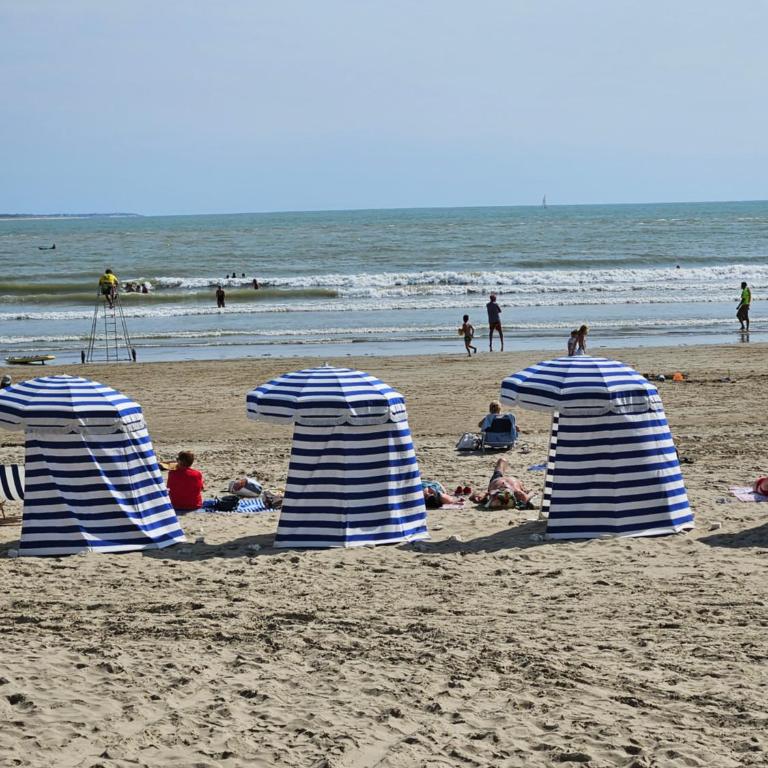 Appartement de charme , Royan, proche mer avec balcon. - Appartement 2 Chambres - 15