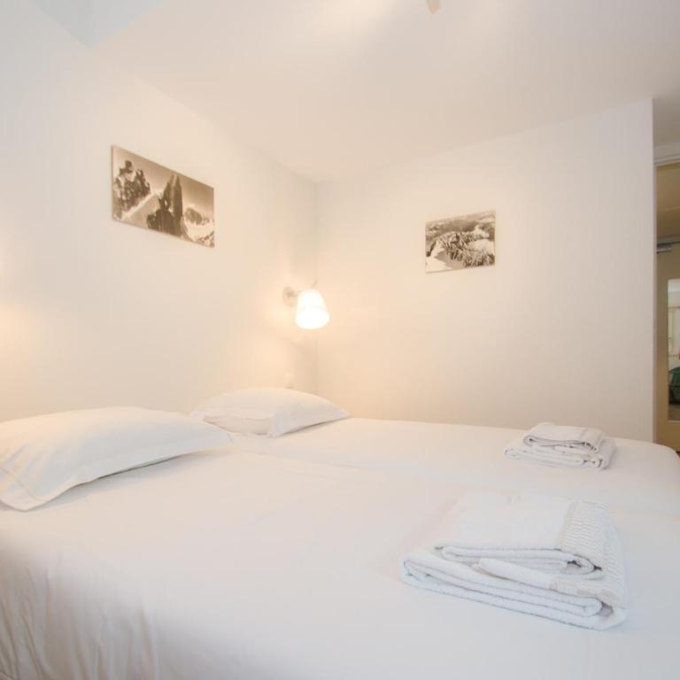 Appartement rénové avec vue Mont-Blanc, parking et WiFi à Chamonix - FR-1-343-206 - Apartment - 19