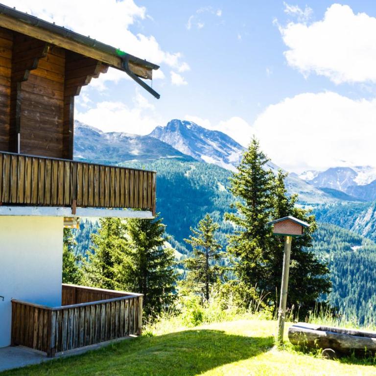 Ferienwohnung Chalet Bortelhorn, Rosswald - Apartment mit 3 Schlafzimmern - 25