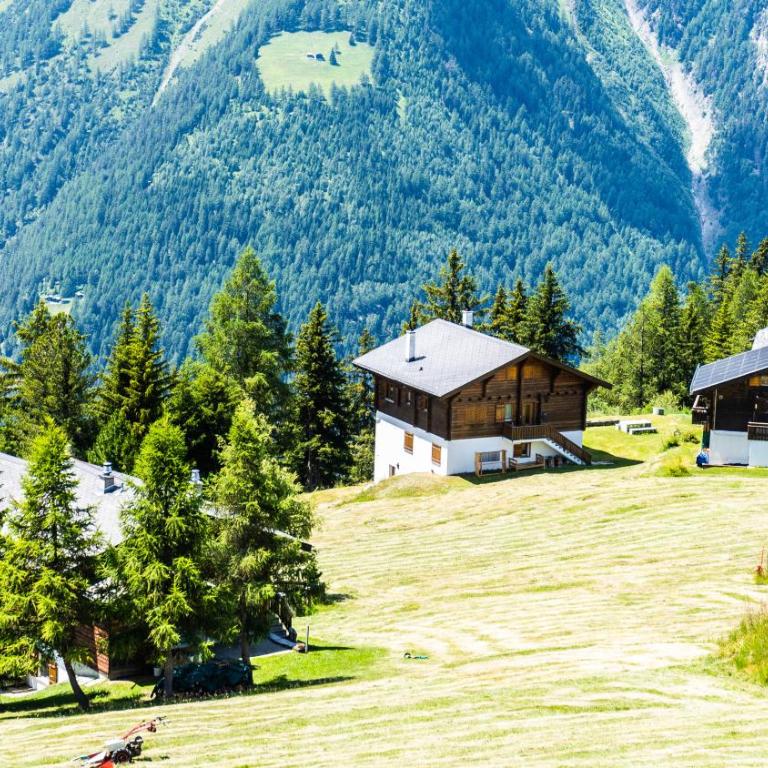 Ferienwohnung Chalet Bortelhorn, Rosswald - Apartment mit 3 Schlafzimmern - 31