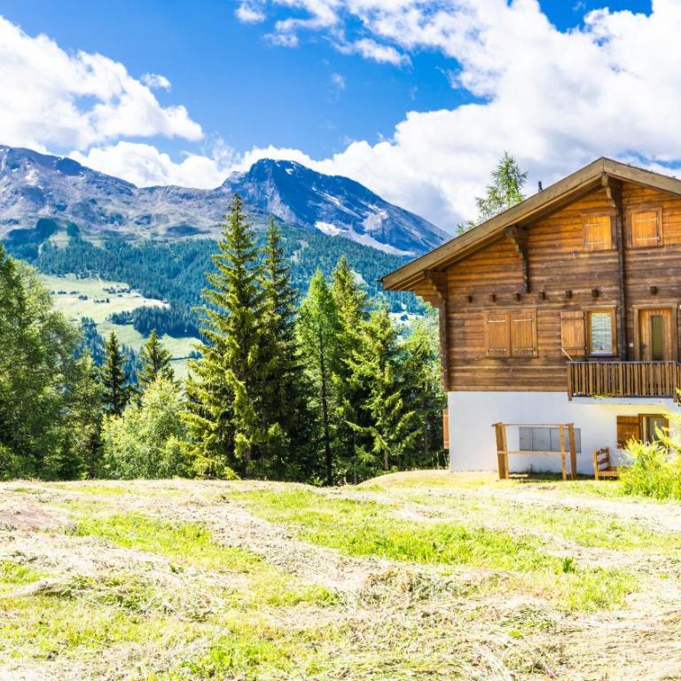Ferienwohnung Chalet Bortelhorn, Rosswald - Apartment mit 3 Schlafzimmern - 35