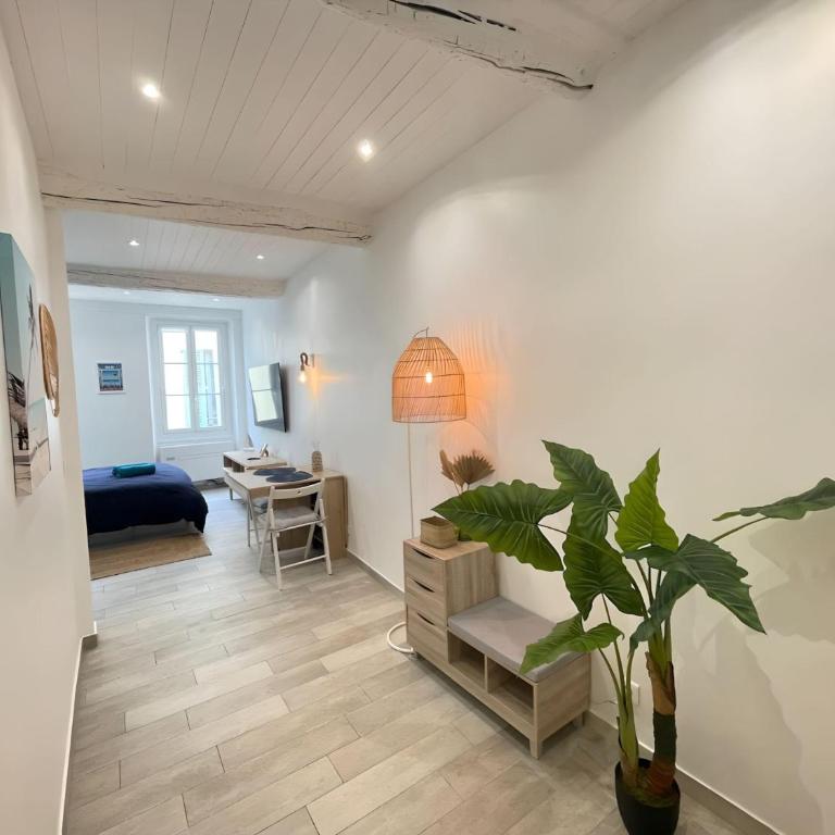 Spacieux Loft Cœur Vieux Nice - Appartement 1 Chambre - 11