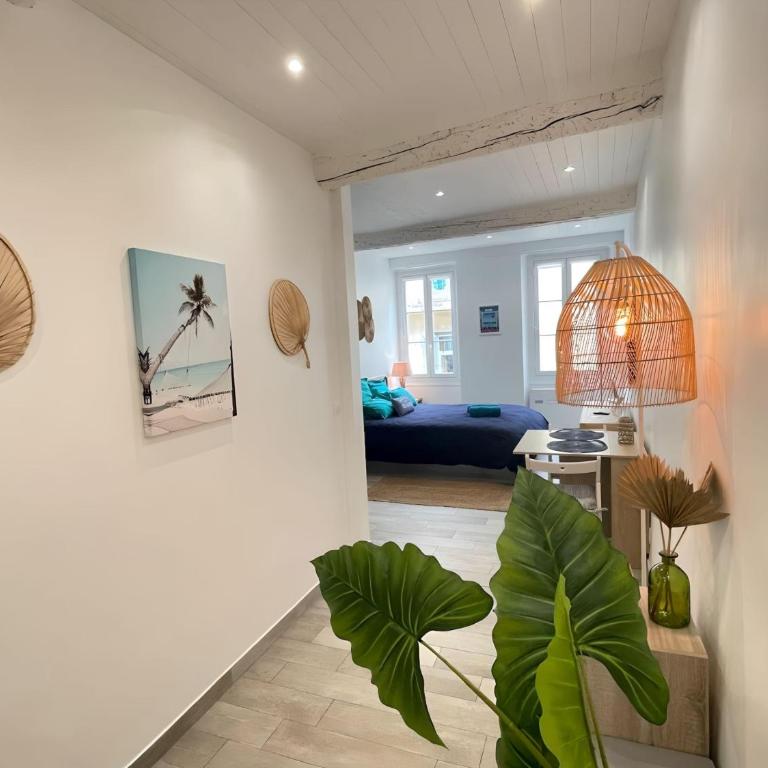 Spacieux Loft Cœur Vieux Nice - Appartement 1 Chambre - 13