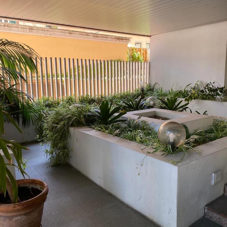 Giulio Cesare Holiday House - Apartment - 2