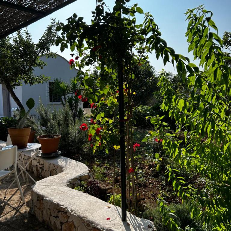trullo Giardino Sotto La Luna - Casa con 3 Camere da Letto - 10
